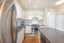 305-15850 26 Avenue Avenue Surrey, BC V3Z 2N6