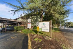 161-7484 138 Street Surrey, BC V3W 6G4