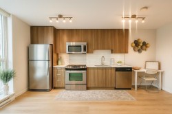 209-13325 102a Avenue Surrey, BC V3T 0J5