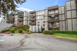 114-9672 134 Street Surrey, BC V3T 5L5