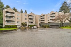209-9644 134 Street Surrey, BC V3T 5M3