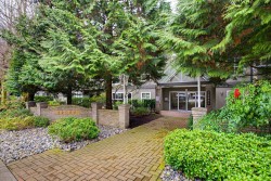 303-12088 66 Avenue Surrey, BC V3W 1Z9