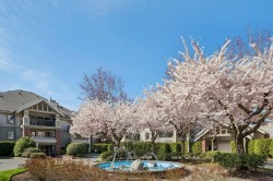 220-22025 48 Avenue Langley, BC V3A 3N1