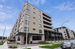 420-15733 85 Avenue Surrey, BC V4N 6Z1