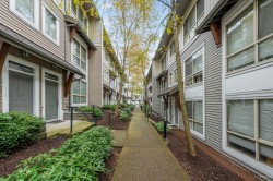 96-6671 121 Street Surrey, BC V3W 1T9