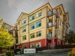 211-2511 King George Boulevard Surrey, BC V4P 0C7