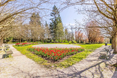 15991 80 Avenue, Surrey, BC 