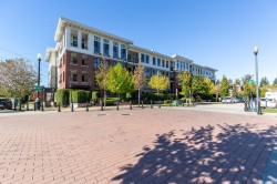 413-3323 151 Street Surrey, BC V3Z 0L3