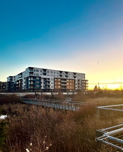 306-20049A 82 Avenue  Langley, BC V2Y 4A5