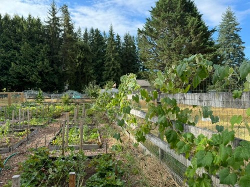 5535 250 Street, Langley, BC 