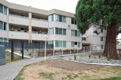 113-9635 121 Street Surrey, BC V3V 7L8