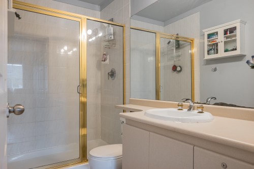 36-8675 Walnut Grove Drive, Langley, BC 