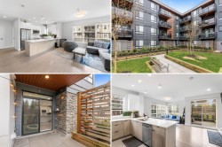 103-19825 54 Avenue Langley, BC V3A 0P6