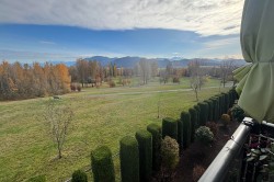 205-33755 7 Avenue Mission, BC V2V 0A4