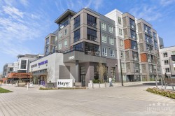 106-19953 76 Avenue Langley, BC V2Y 3Y1