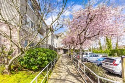 307-16137 83 Avenue Surrey, BC V4N 0N1