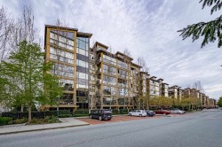310-8067 207 Street Langley, BC V2Y 0P1