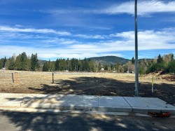 33273 Macdonald Avenue Mission, BC V2V 6X9