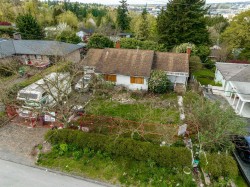 10259 124a Street Surrey, BC V3V 4W7