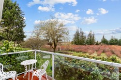 17325 31 Avenue Surrey, BC V3Z 0C2