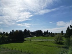 28927 Buchanan Avenue Abbotsford, BC V4X 2C8