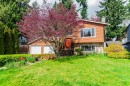 6675 Wade Road, Delta, BC 