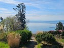 14391 Marine Drive, White Rock, BC 