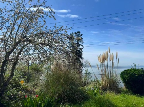 14391 Marine Drive, White Rock, BC 