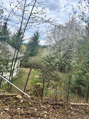 37710 Batt Road, Abbotsford, BC 