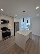 A409-20078 85 Avenue Langley, BC V2Y 3Z2