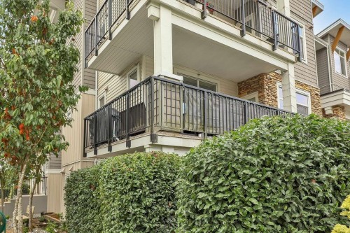 201-19940 Brydon Crescent, Langley, BC 