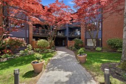 208-15300 17 Avenue Surrey, BC V4A 8Y6