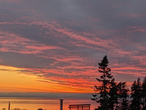 867 Stayte Road  White Rock, BC V4B 4Y6