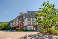 205-8880 202 Street Langley, BC V1M 4E7