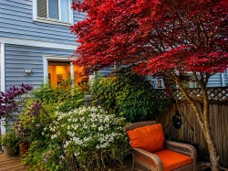 21072 80 Avenue Langley, BC V2Y 0H6