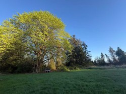 18106 32 Avenue Surrey, BC V3Z 1C6