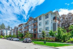 207-14550 Winter Crescent Surrey, BC V4P 0G4