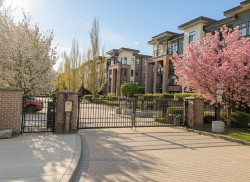 401-20062 Fraser Highway Langley, BC V3A 0E6