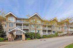 311-6420 194 Street Surrey, BC V4N 6J7