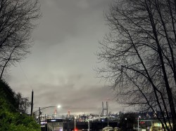 11019 129 Street Surrey, BC V3T 3J3