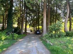 12564 24 Avenue Surrey, BC V4A 2E4