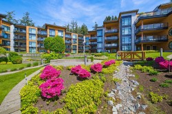 505-14855 Thrift Avenue  White Rock, BC V4B 2J6