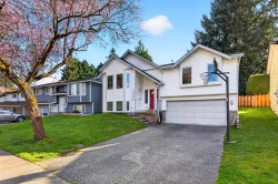 13908 80b Avenue Surrey, BC V3W 9B4