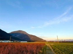 9445 Catherwood Road Mission, BC V0M 1H0