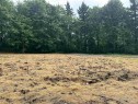 Lt.2-11083 River Road, Delta, BC 
