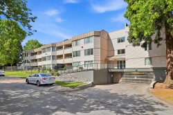 101-9635 121 Street Surrey, BC V3V 7L8