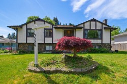 15524 105a Avenue Surrey, BC V3R 1S6