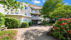 311-9948 151 Street Surrey, BC V3R 0V6