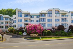 310-33030 George Ferguson Way Abbotsford, BC V2S 6Y2