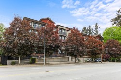 308-19830 56 Avenue Langley, BC V3A 0A5
